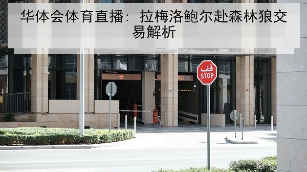 华体会体育直播: 拉梅洛鲍尔赴森林狼交易解析 华体会体育直播: 拉梅洛鲍尔赴森林狼交易解析