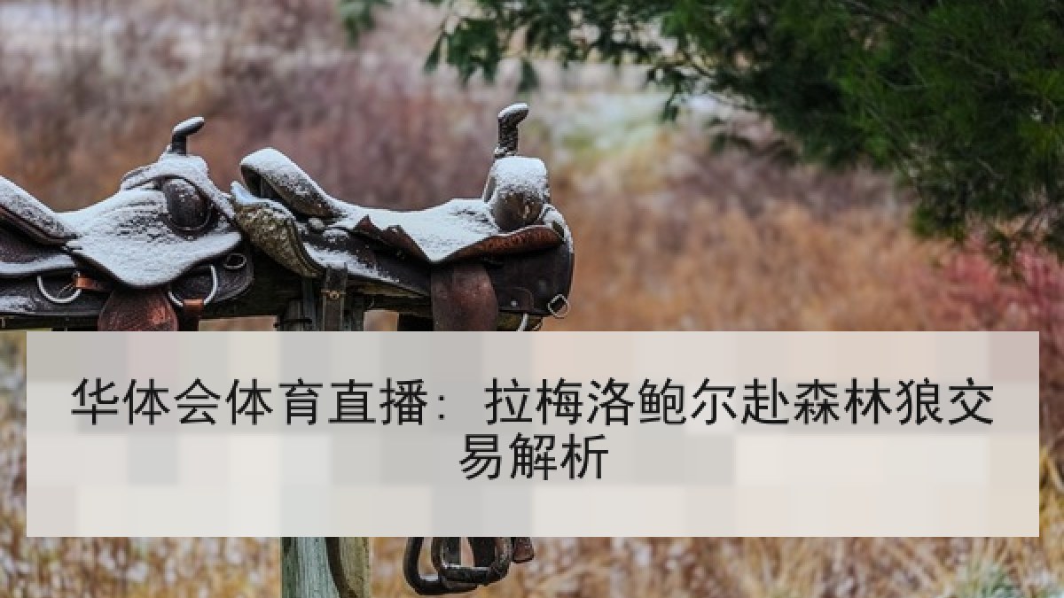 华体会体育直播: 拉梅洛鲍尔赴森林狼交易解析