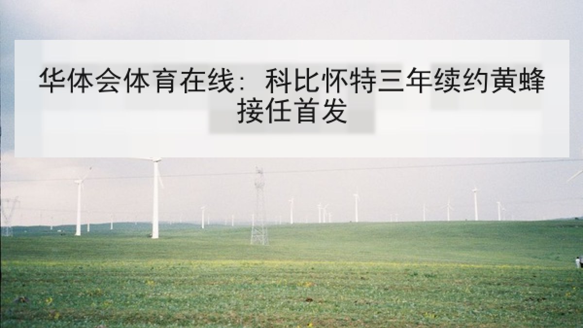 华体会体育在线: 科比怀特三年续约黄蜂接任首发