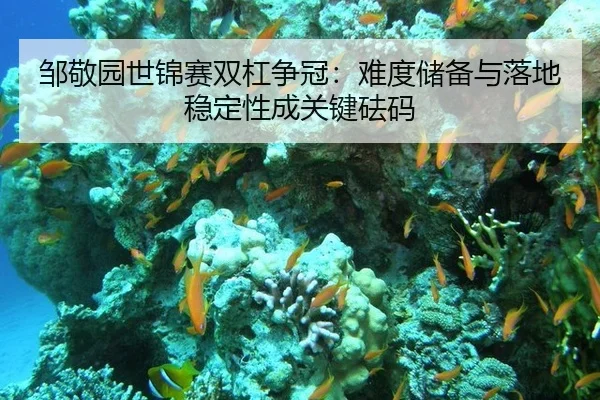 邹敬园世锦赛双杠争冠：难度储备与落地稳定性成关键砝码