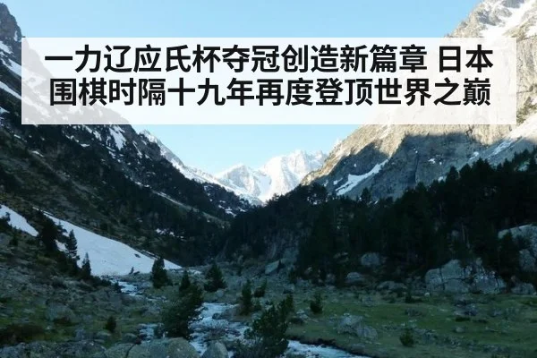 一力辽应氏杯夺冠创造新篇章 日本围棋时隔十九年再度登顶世界之巅